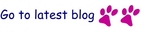 Go to latest blog