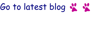Go to latest blog